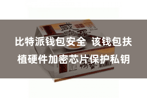 比特派钱包安全 该钱包扶植硬件加密芯片保护私钥