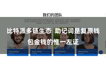 比特派多链生态 助记词是复原钱包金钱的惟一左证