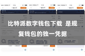 比特派数字钱包下载 是规复钱包的独一凭据