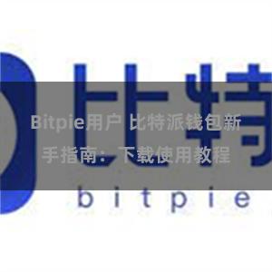 Bitpie用户 比特派钱包新手指南：下载使用教程