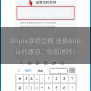 Bitpie教程官网 选择Bitpie的原因，你知道吗？