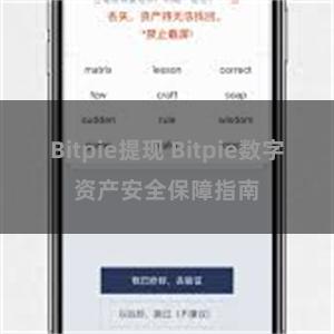 Bitpie提现 Bitpie数字资产安全保障指南