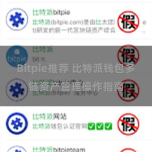 Bitpie推荐 比特派钱包多链资产管理操作指南