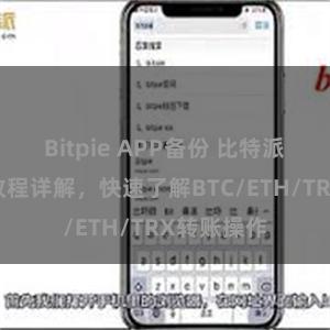 Bitpie APP备份 比特派钱包转账教程详解，快速了解BTC/ETH/TRX转账操作