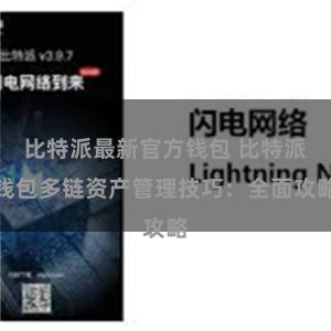 比特派最新官方钱包 比特派钱包多链资产管理技巧：全面攻略