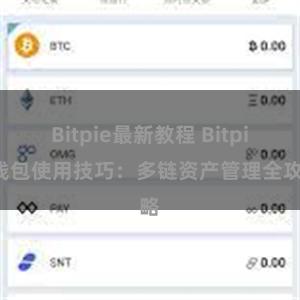 Bitpie最新教程 Bitpie钱包使用技巧：多链资产管理全攻略