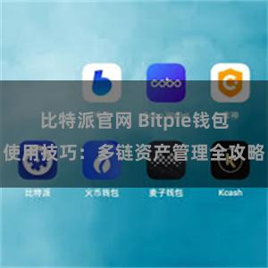 比特派官网 Bitpie钱包使用技巧：多链资产管理全攻略