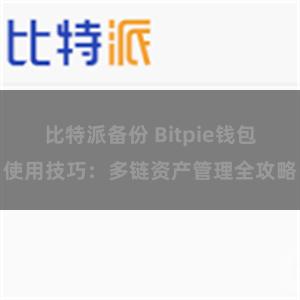 比特派备份 Bitpie钱包使用技巧：多链资产管理全攻略