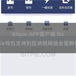 Bitpie APP客户端 Bitpie钱包支持的区块链网络全面解析