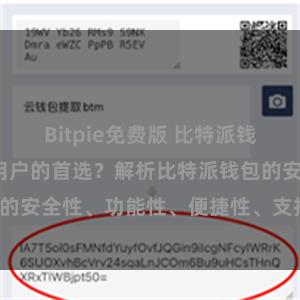 Bitpie免费版 比特派钱包为何是专业用户的首选？解析比特派钱包的安全性、功能性、便捷性、支持性等优势。