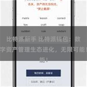 比特派新手 比特派钱包：数字资产管理生态进化，无限可能！