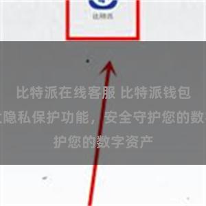 比特派在线客服 比特派钱包：强大隐私保护功能，安全守护您的数字资产