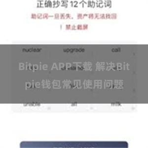 Bitpie APP下载 解决Bitpie钱包常见使用问题