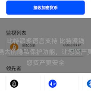 比特派多语言支持 比特派钱包：强大的隐私保护功能，让您资产更安全