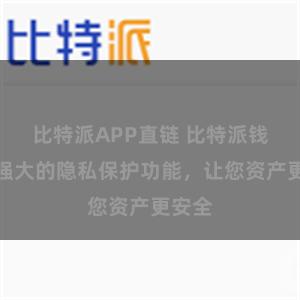 比特派APP直链 比特派钱包：强大的隐私保护功能，让您资产更安全