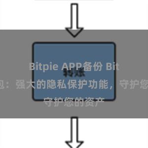 Bitpie APP备份 Bitpie钱包：强大的隐私保护功能，守护您的资产