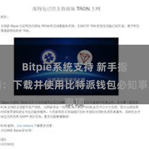 Bitpie系统支持 新手指南：下载并使用比特派钱包必知事项