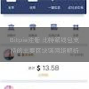 Bitpie注册 比特派钱包支持的主要区块链网络解析