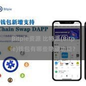 Bitpie资源 比特派(Bitpie)钱包有哪些隐藏功能？