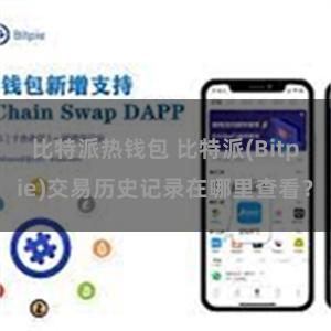 比特派热钱包 比特派(Bitpie)交易历史记录在哪里查看？