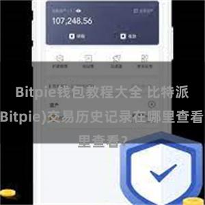 Bitpie钱包教程大全 比特派(Bitpie)交易历史记录在哪里查看？