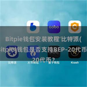 Bitpie钱包安装教程 比特派(Bitpie)钱包是否支持BEP-20代币？