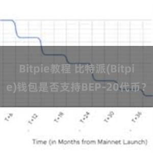 Bitpie教程 比特派(Bitpie)钱包是否支持BEP-20代币？