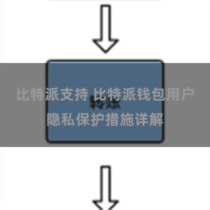 比特派支持 比特派钱包用户隐私保护措施详解