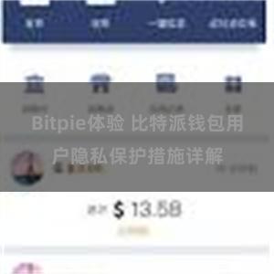 Bitpie体验 比特派钱包用户隐私保护措施详解