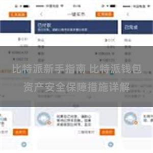 比特派新手指南 比特派钱包资产安全保障措施详解