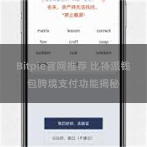 Bitpie官网推荐 比特派钱包跨境支付功能揭秘