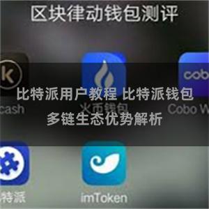 比特派用户教程 比特派钱包多链生态优势解析