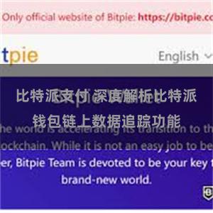 比特派支付 深度解析比特派钱包链上数据追踪功能