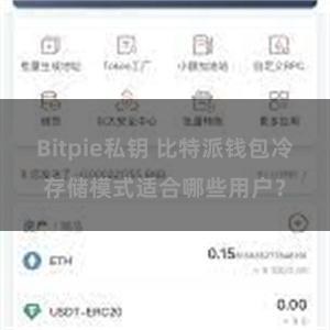 Bitpie私钥 比特派钱包冷存储模式适合哪些用户？