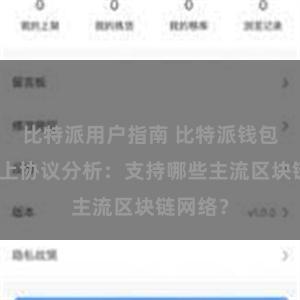 比特派用户指南 比特派钱包最新链上协议分析：支持哪些主流区块链网络？