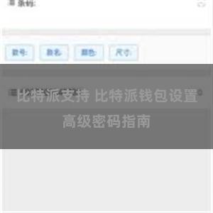 比特派支持 比特派钱包设置高级密码指南