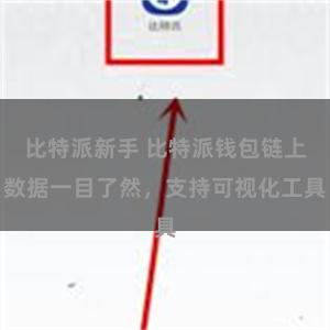 比特派新手 比特派钱包链上数据一目了然，支持可视化工具