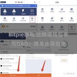 Bitpie隐私 比特派钱包参与DAO：简单步骤指南