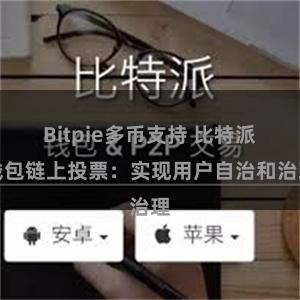 Bitpie多币支持 比特派钱包链上投票：实现用户自治和治理