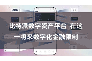 比特派数字资产平台  在这一将来数字化金融限制