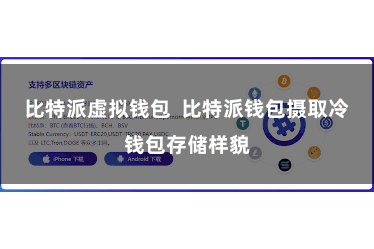 比特派虚拟钱包  比特派钱包摄取冷钱包存储样貌