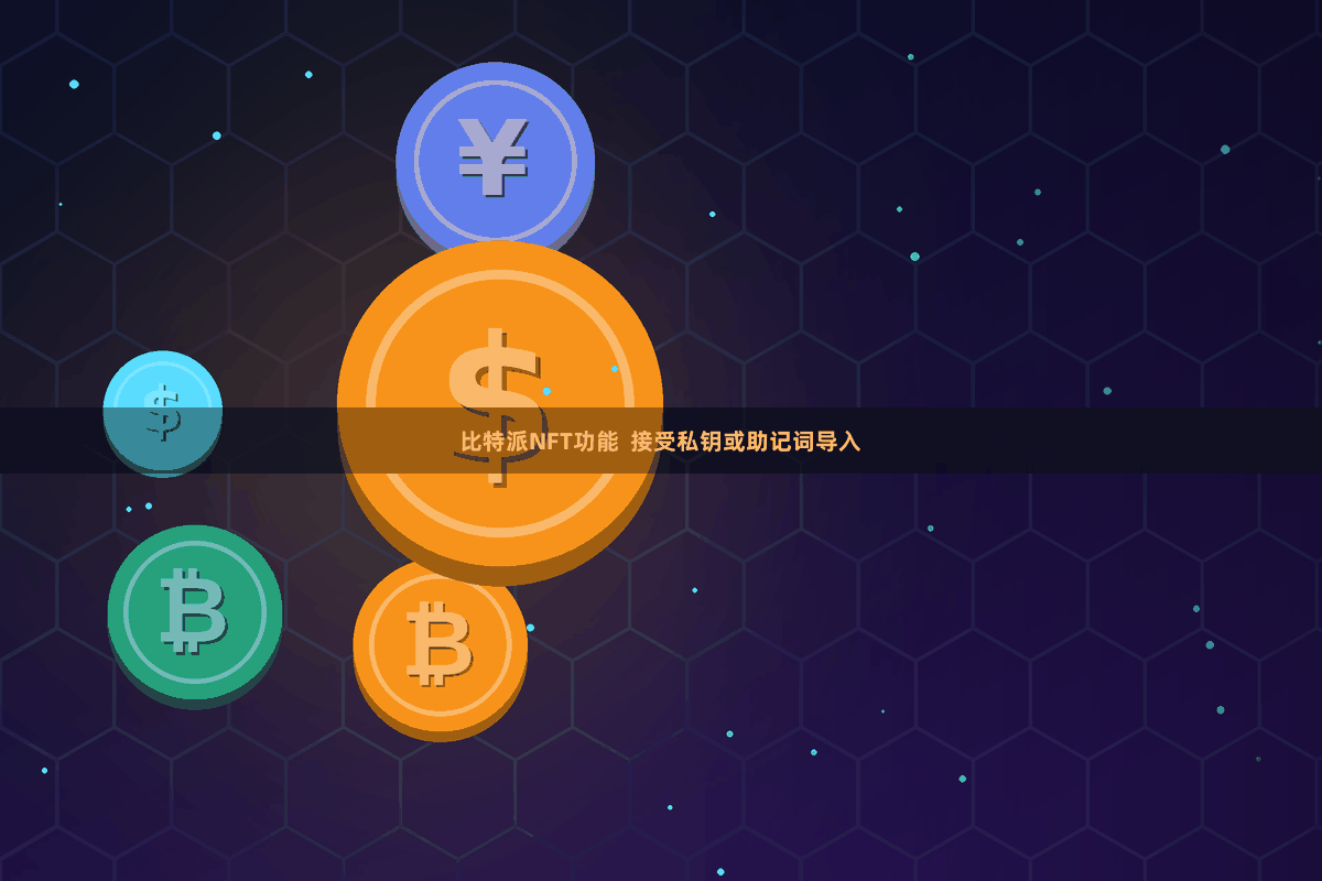比特派NFT功能  接受私钥或助记词导入